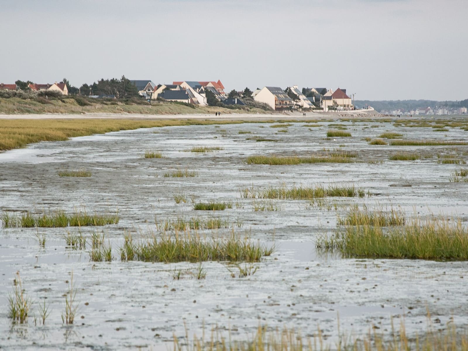 2017-07 Réserve naturelle nationale de la baie de Somme - Le Crotoy