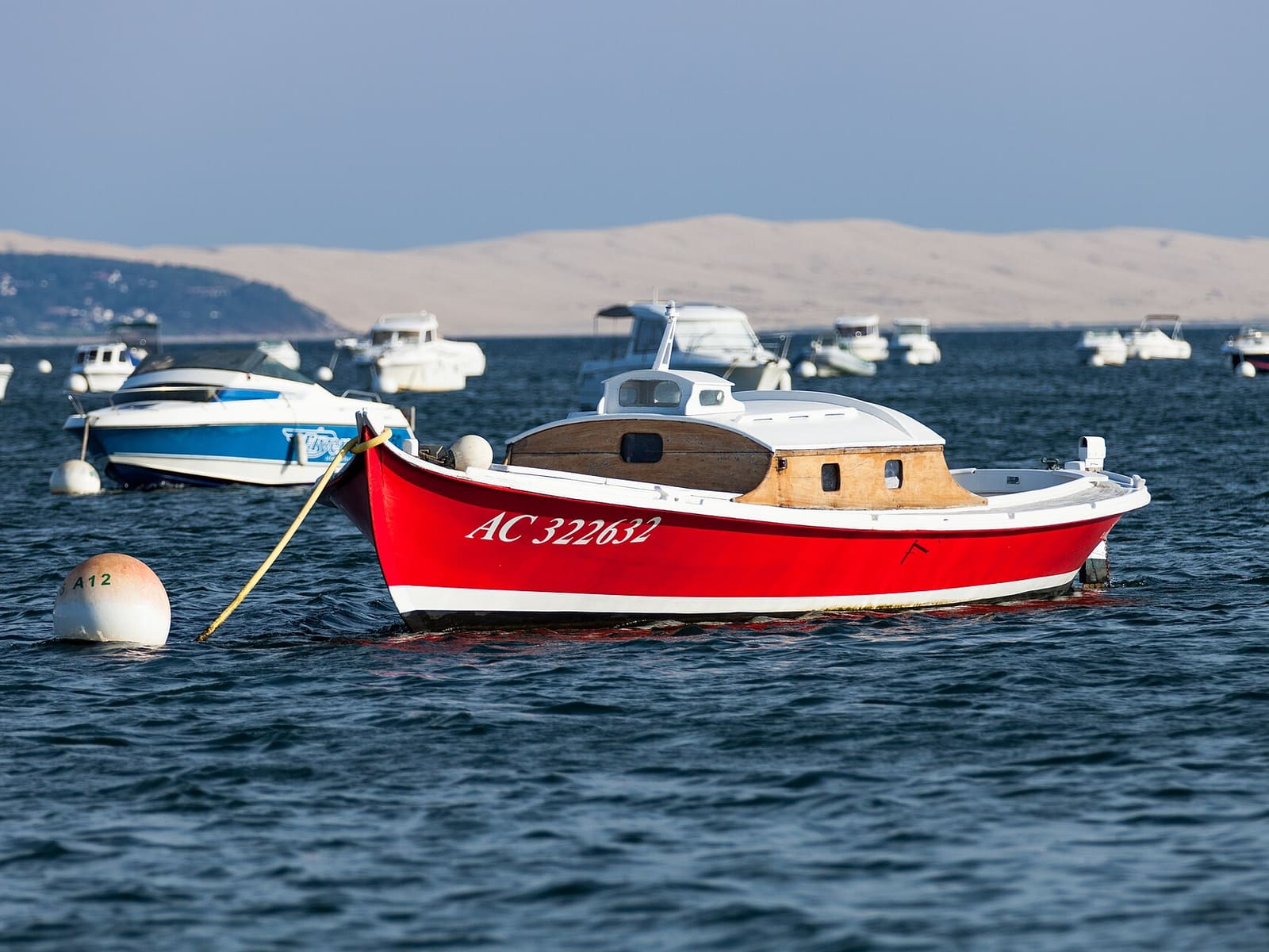 Bateau sur le bassin d'Arcachon - Barco en la bahía de Arcachon - Boat on the Bay of Arcachon - 船在阿卡雄湾 - Image Picture Photography (14524210013)