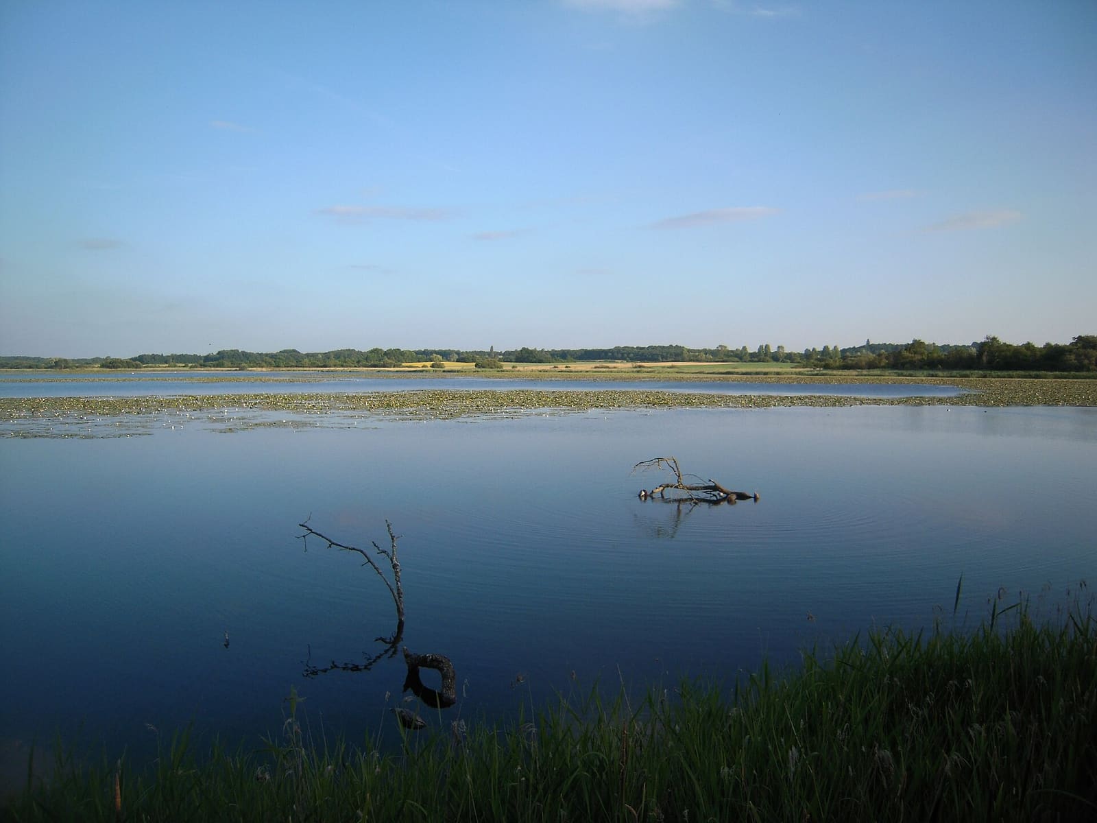 Brenne - Saint-Michel-en-Brenne (36) - Étang de la Sous