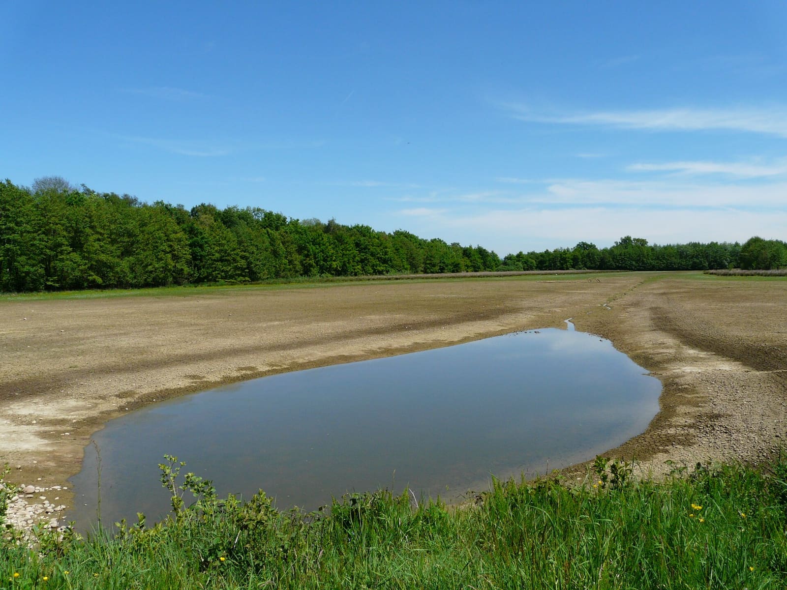 Etang Neuf - 2