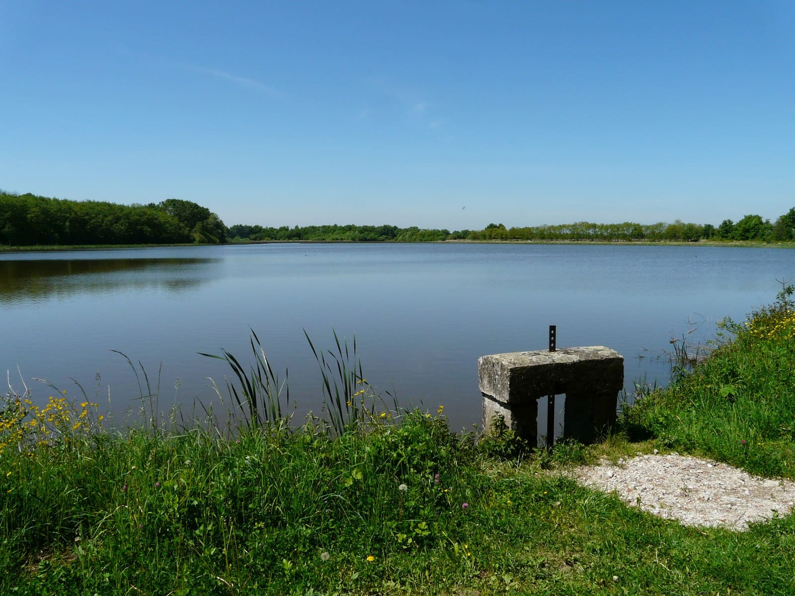 Etang de la Grande Bozonnière