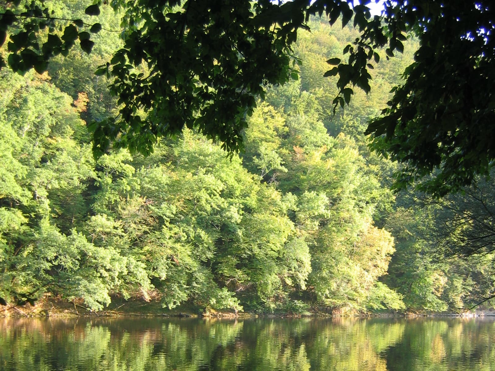 Dordogne upstream of Castelnaud