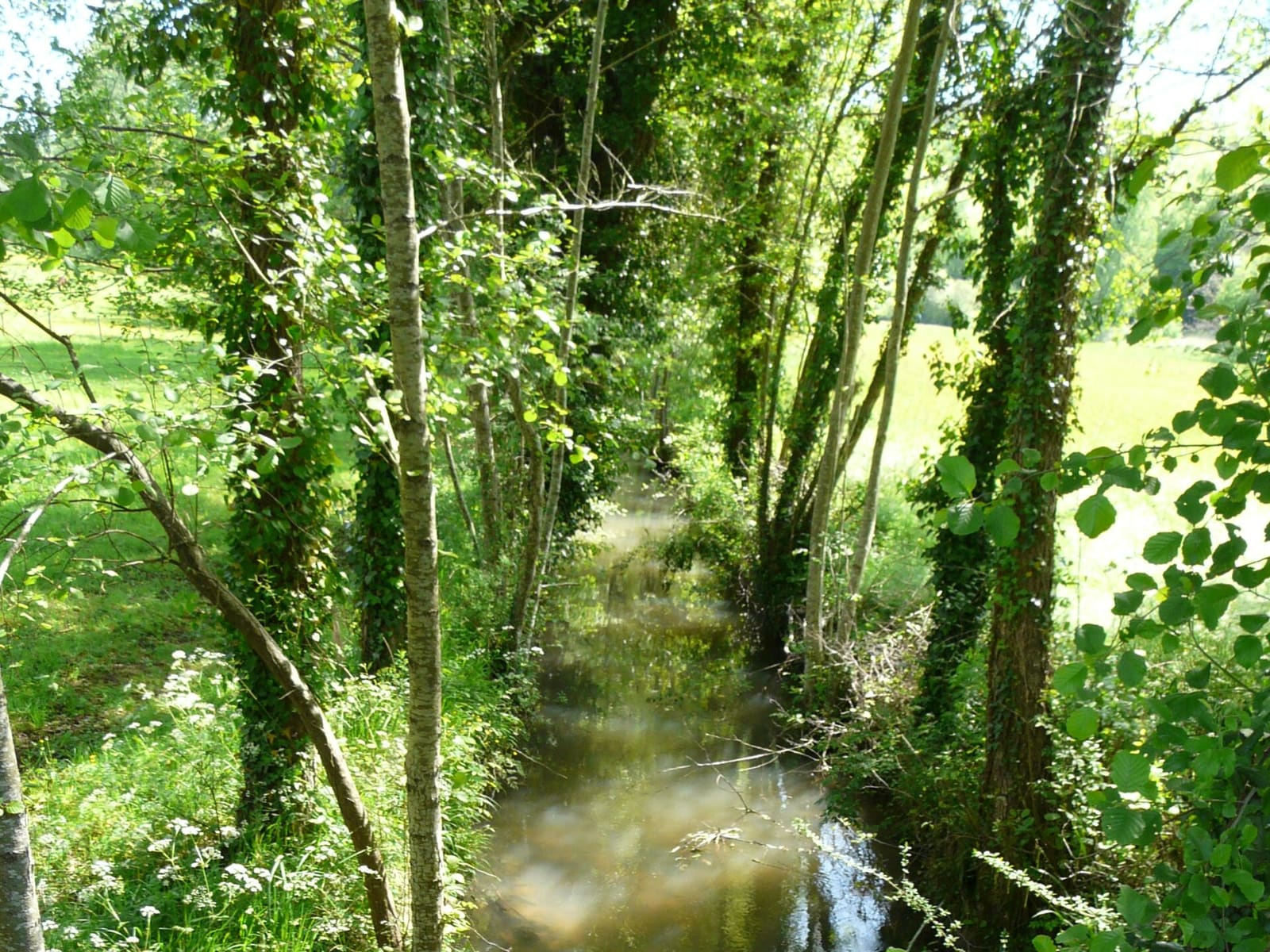 Couze Montferrand-du-Périgord amont