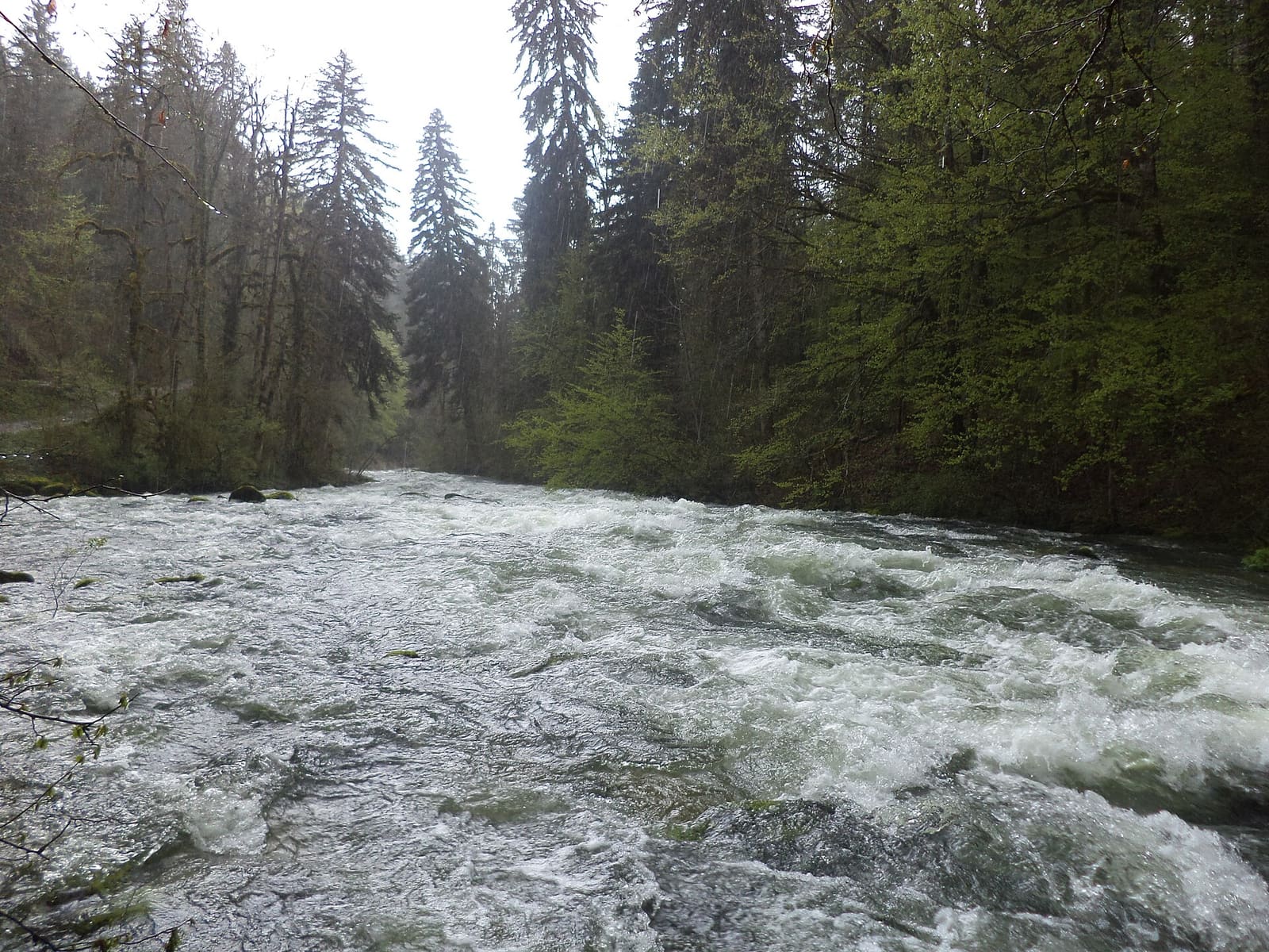 Ain (rivière)