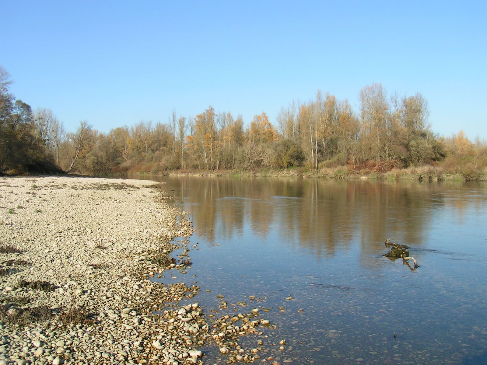 La rivière d'Ain à Villieu-Loyes-Mollon (Ain, France)