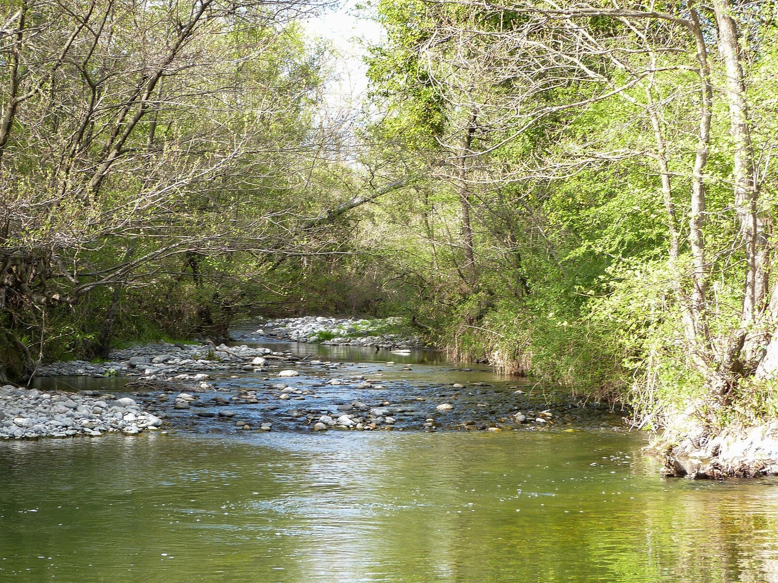 Auzon riviere a Saint-Germain