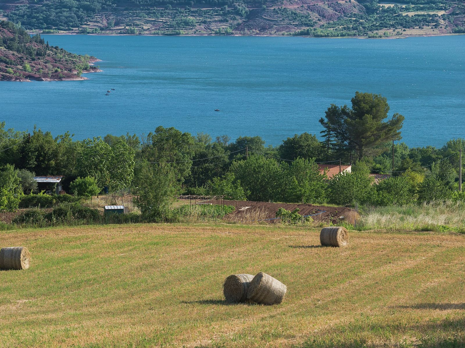 Field and Lac du Salagou, Liausson 01